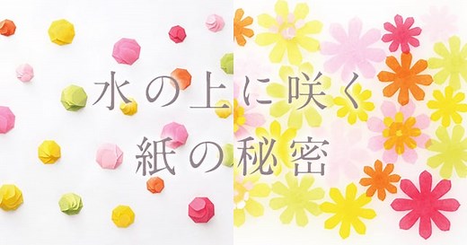 【紙の形状記憶】水の上に咲く紙の秘密 ｜ 自由研究におすすめ！家庭でできる科学実験シリーズ「試してフシギ」｜ NGKサイエンスサイト ｜ NGK株式会社（旧社名：日本ガイシ株式会社）
