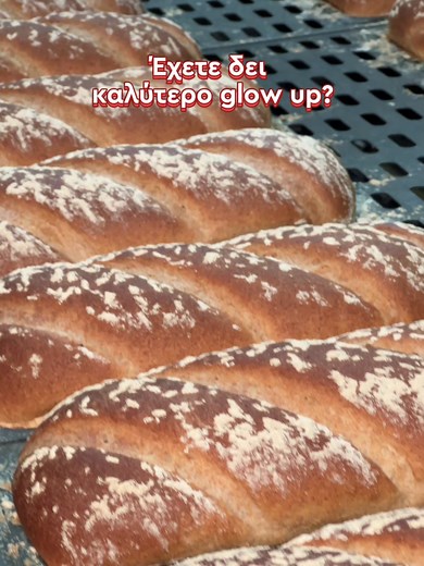 Explore the Magic of a Bread Factory Experience