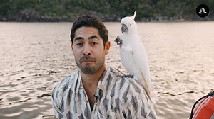 Easy like Whitsundays mornings. | pedestrian.tv