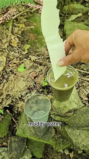 Filtering Sediment from Muddy Water with Paper Towels