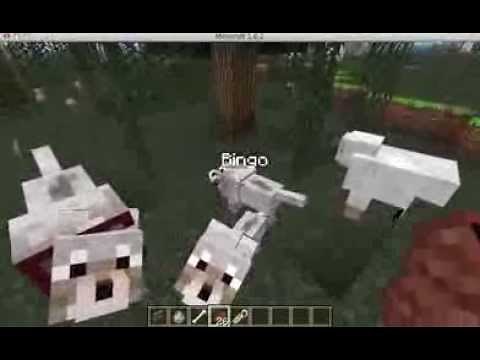 How to heal your dog in minecraft