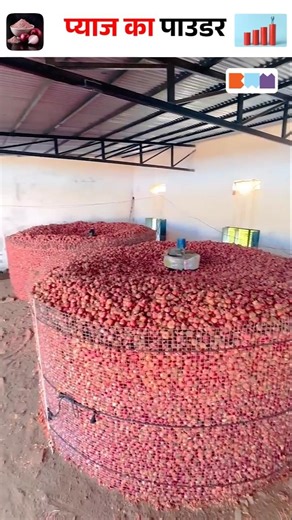 Cheap Onion? Start This Business in 2026! #shorts #onionpowder