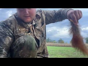 Squirrel skinning tutorial