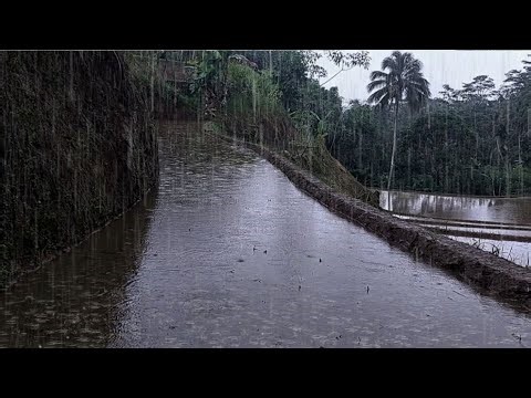 Escape the Chaos | Relaxing Rainstorm Outside Window | Calm Mind & Sweet Dreams 🌧️💤