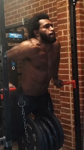 95kg Weighted Dip 1 Rep Max