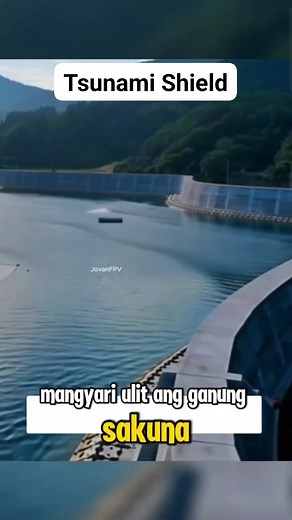 Tsunami Shield #fblifestyle #reelsviralシ #fbreels #viralvideoシ #tips | Wonder Tips & Ideas