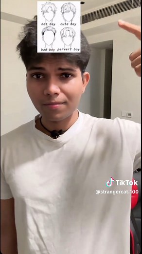 Hilarious Cat Memes to Brighten Your Day