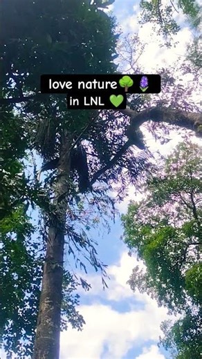 nature lover 💚🍁#nature #green #lonavala #train #locopilot #maharashtra #summer