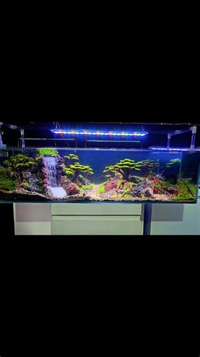 Stunning Aquascape Waterfall Creation
