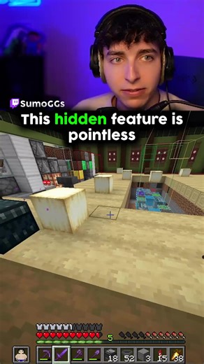 Exploring Minecraft's Pointless Hidden Features