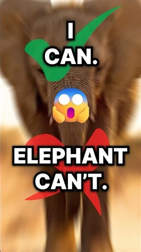 You Can Jump… But Elephants NEVER Can 🐘😳#shorts