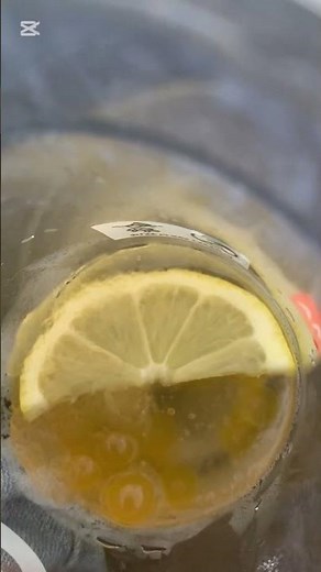 The barracuda in finding Nemo pov