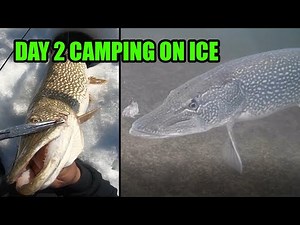 Winter Camping Day 2 - Pike SLAM DAY!!