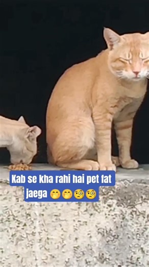 #Tag 🤚bus🤚kar nahi to 😬 #funny🤣 #husband wife 💝💋#comedy #short video👌👌