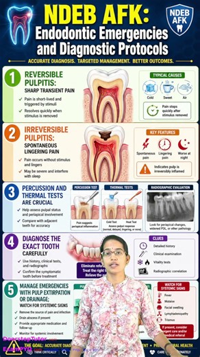 🦷 NDEB AFK: Endodontic Emergencies & Diagnosis | Dental Exam #Shorts