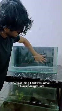 Planted aquarium for Monster fish Part 1