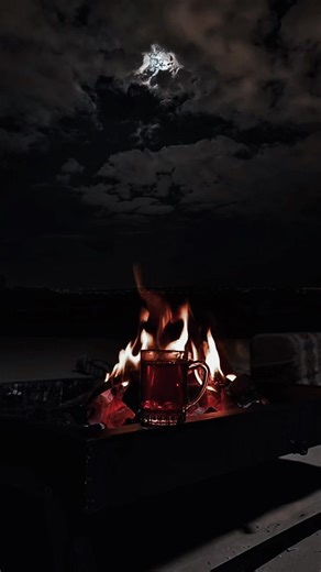 #الطايف #الطائف_تيرا_مول #الشعب_الصيني_ماله_حل😂😂 #الطايف_الان #الحوية