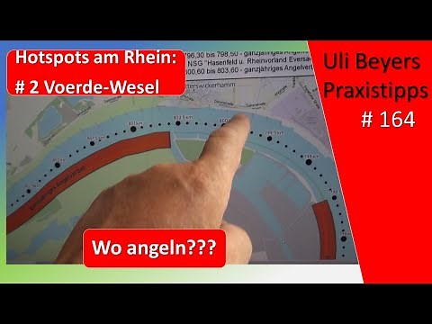 Angeln am Rhein auf Zander: Hotspots von Voerde bis nach Wesel