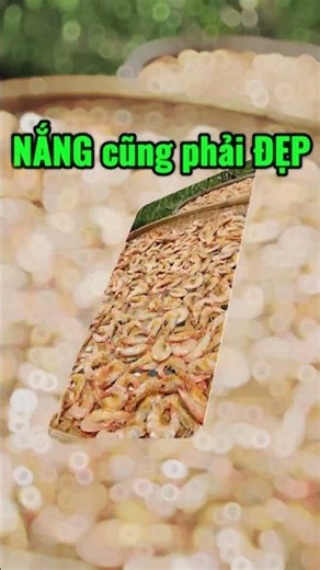 🦐 Luộc xong là đem phơi ngay - Cách làm tôm khô ở Cà Mau | Trải Nghiệm Sinh Thái Cà Mau - An An Home