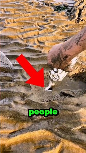 Traditional method in china