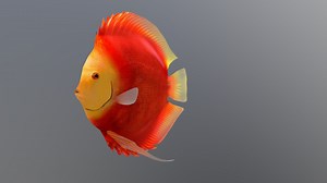 Discus_Tangerine - 3D model by yasinyorur