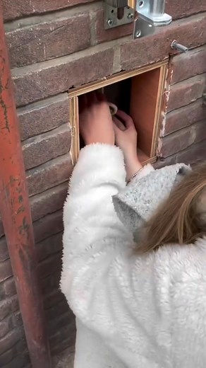 144K views · 863 reactions | ⚡ When your intrusive thoughts lead you to the #geocache ⚡ Video by creativecache. #geocaching | Geocaching | Facebook