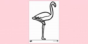 Printable Flamingo Colouring Page