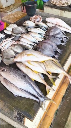 இன்னைக்கு என்ன மீன்கள்#viral #trending #youtubeshorts #fish #cooking #tamil #best