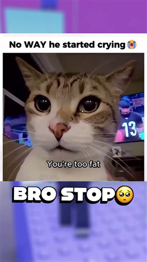 #gugugaga