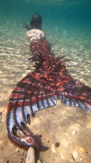 Colorshifting Mermaid 🖤 Here's another video, since I need to clear up space on my phone and delete some stuff... oops! This shot shows just how well my new Beauty & Brine silicone mermaid tail colorshifts underwater. It shifts from black (not shown), to red, to gold and then to green. It's pretty wild! #TheMagicCrafter #MermaidKrimzon #beautyandbrine #siliconemermaidtail #redmermaid #mermaidtails #colorshift