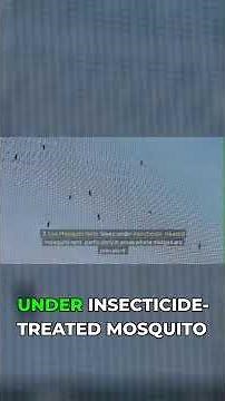 Oropuch Virus Prevention: Stay Safe from Midge Bites! ✅