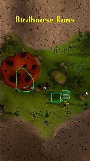 The Most Relaxing XP in OSRS 🕊️ | Fossil Island Birdhouse Run