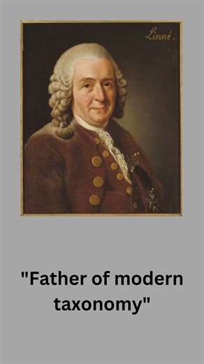 Carolus Linneaus| Class 11|The living world #systematics #taxonomy