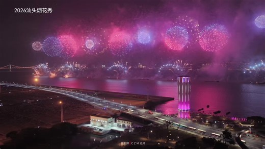 新的一年 一定要跟爱的人一起去看浪漫的烟花🎇 马汕有好事#生活vlog #烟花秀表演