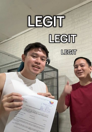 How to Catch a Wild African Gray Parrot