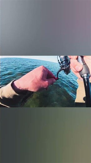 En dag på kysten bliver simpelthen ikke meget bedre end det her. 🤩