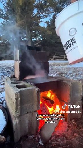 How to Make Maple Syrup at Home: A Step-by-Step Guide