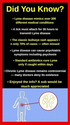 Shocking Facts About Lyme Disease Nobody Warns You About 🦠⚠️😱