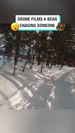 Drone Captures Bear Chasing Man: Shocking Footage