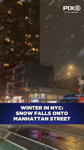 There's nothing like snowfall in New York City.❄️☃️ Click the link in the comments for the full weather forecast: | PIX11