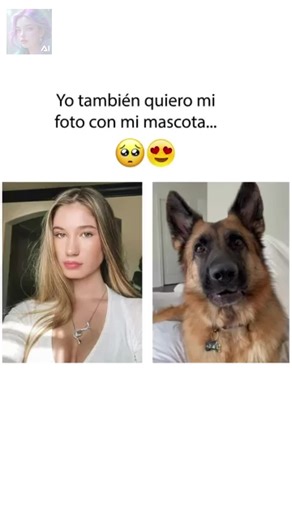 Create photo your pet