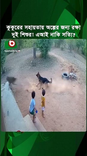 কুকুরের সহায়তায় রক্ষা পেল দুই শিশু, এআই নাকি সত্যি? | Dog | Child Rescue | Boishakhi Tv News