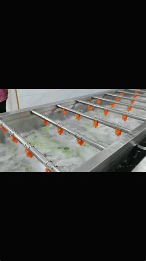 Vegetable Processing Production Line#vegetables #foodmachine #priductionline #foodprocessing #tiktok