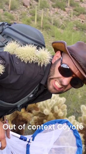 Brave Wilderness on Instagram: "“As we know, I don’t have any hair” - @coyotepeterson out of context... To get the FULL context, head over to the Coyote Peterson YouTube channel to watch this weeks episode of Ray Reacts ( in bio)!"