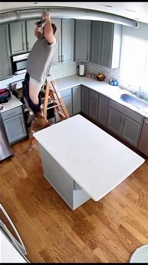 #dog #dogs #dogsoftiktokviral #funnydog #dogsvideo