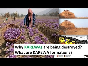 Why Kashmir's KAREWAS (Saffron) formations are in danger ?