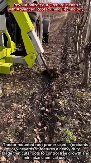 Revolutionize Your Orchard Health with Advanced Root Pruning Technology