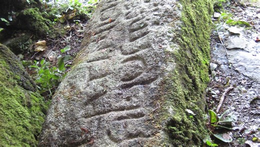 World's First-Ever Dictionary Of Ancient Celtic Languages Set To Be Created
