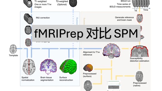 fmri数据预处理教程-fMRIPrep 01 | fMRIPrep和SPM哪个更好用？