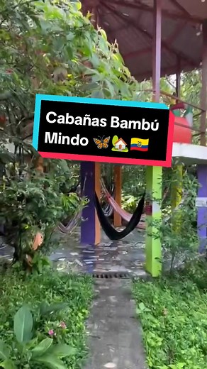 Tranquilidad y Comodidad en Cabañas Bambú Mindo